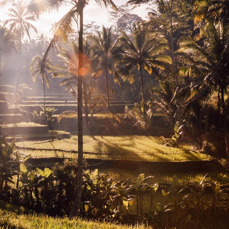 Kid-friendly dining with comfy seating